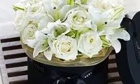 این همه زیبایی را صاحب شوید / عکس