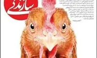 صفحه اول یک روزنامه، قیمت مرغ را به رخ کشید