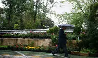 مجموعه عکس: آبگرفتگی در معابر تهران (1)