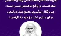 هایلایت (485)