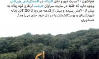 چنگیز چنین کاری نکرد که مدیران بی‌لیاقت می‌کنند!