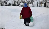 عکس: مازندران پس از سونامی برفی
