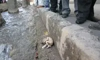 سقط جنین، قانونی و غیرقانونی ...