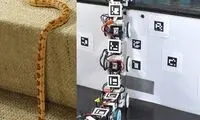 ساخت ربات جدید با الهام از مار