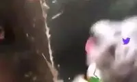 ویدئوی بامزه سگی که عصای دست صاحبش شده!