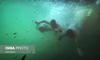 تصاویری از دنیای خنک زیر آب