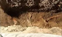 تصاویری از اسکلت مشهور ترین مدل نقاشی