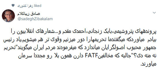 زیباکلام: مخالفین FATF مانند احمدی‌نژاد هستند