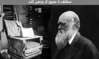 دانستنی‌های جالب؛ صندلی چرخدار داروین
