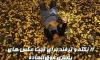چگونه در پاییز عکس های خارق العاده ای خلق کنیم؟