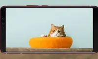 HTC U11 EYEs به صورت رسمی منتشر شد