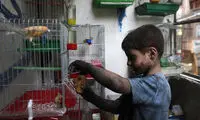 عکس: پسر 10 ساله سوری، سازنده خمپاره