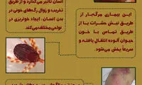 ویروسی مرگبار که به خاورمیانه هم رسیده