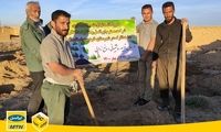 کاشت ۱۲۶۰۰نهال از سوی ایرانسل در فارس و لرستان