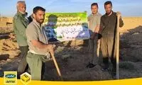 کاشت ۱۲۶۰۰نهال از سوی ایرانسل در فارس و لرستان