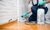 چرا باید در تابستان حتماً خانه را سم‌پاشی کنیم؟