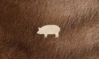 بهترین پوستر‌های فیلم در ۲۰۲۱ را از دست ندهید
