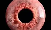 تصاویری خارق العاده‌ از چشم انسان زیر میکروسکوپ 