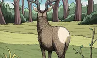تست دقت و توجه برای ریزبین‌ها (۲)
