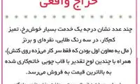 طنز؛ حراج نشان خدمت یک معاون اول!