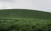 تولید سوخت هیدروژن از علف!
