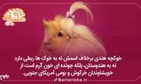 دانستنی‌ های جالب (201)