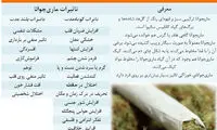 چرا زنان ایرانی گُل می‌ کِشند؟!