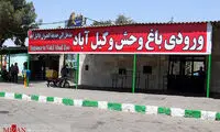 باغ وحش وکیل آباد پلمب شد