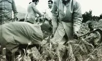 رهبر انقلاب در حال کشاورزی