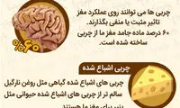 اینفوگرافی: خوراکی‌هایی که باهوش‌تر تان می‌کنند