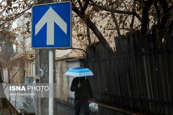 بارش باران در تهران