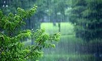 صحنه بسیار زیبا از بارش سنگین باران در عمان