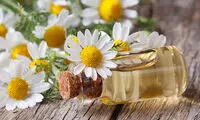 خواص دارویی گیاه بابونه