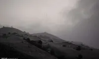تصاویری از سرشماری حیات وحش