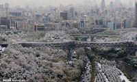 تصاویری دل‌انگیز از چهره برفی تهران