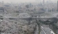تصاویری دل‌انگیز از چهره برفی تهران