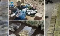سرنوشت گنج داعش مشخص شد!