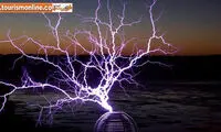 به مزرعه «گیبز» خوش آمدید!