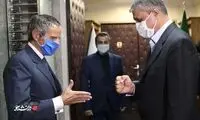تصویری از دیدار گروسی و رئیس سازمان انرژی اتمی