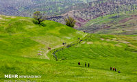 طبیعت گردی در کاوند درویشان