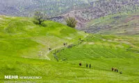 طبیعت گردی در کاوند درویشان