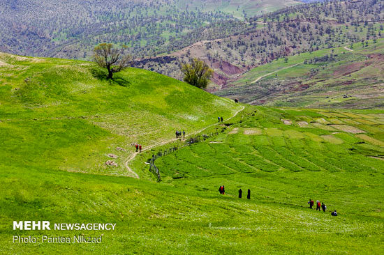 طبیعت گردی در کاوند درویشان