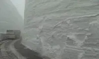 «موگویی» در محاصره برف +عکس