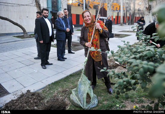 عکس: مراسم خانه سینما برای روز درختکاری