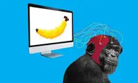 میمون‌ها اجرای بازی‌های ویدئویی را یاد گرفتند!
