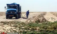 نهال کاری کانون ریزگرد‌ها در اهواز
