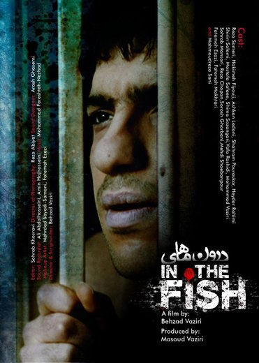 درخشش فیلم سینمایی «درون ماهی» در شانگهای