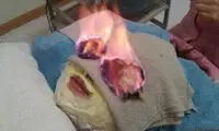زیبایی با طلا یا فضولات پرنده؟! +عکس