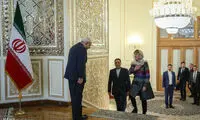 عکس: دیدار ظریف با «وسنا پوسیچ»