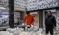 برنج پاکستانی با لباس ایرانی به بازار آمد